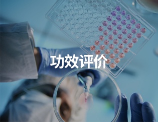 功效评价