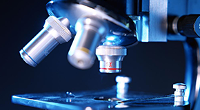 结构解析/结构确证